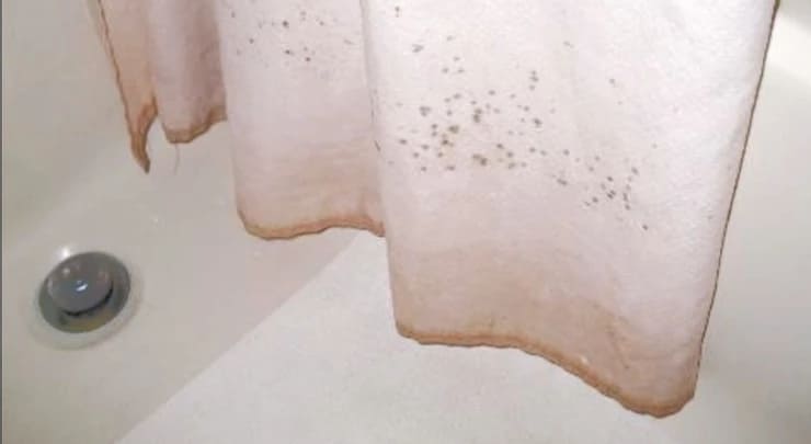 how to remove pink mold from shower curtain