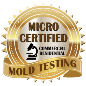 mold inspector certification greenville sc